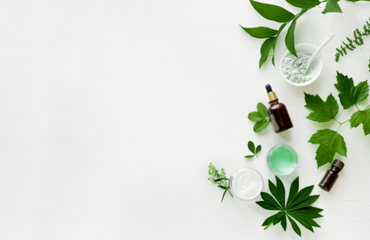 Online Breastpump Rental